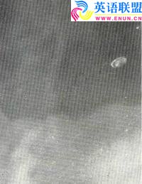 1965年澳大利亚